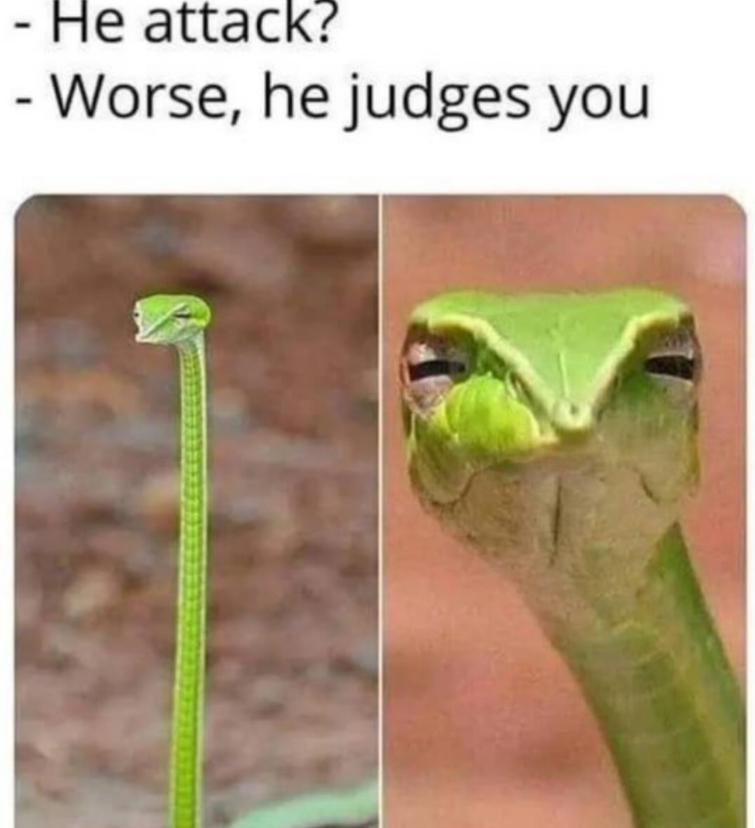 He attack? - Worse, he judges you