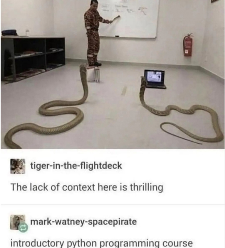 tiger-in-the-flightdeck The lack of context here is thrilling mark-watney-spacepirate introductory python programming course