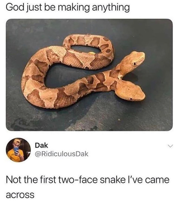 God just be making anything Dak @RidiculousDak Not the first two-face snake I've came across