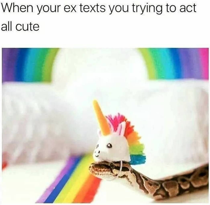 When your ex texts you trying to act all cute