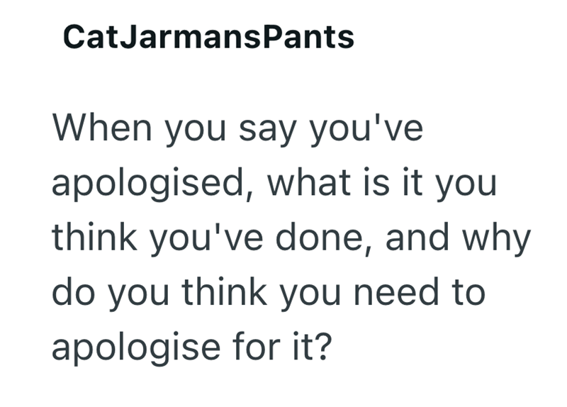 CatJarmansPants When you say you've apologised, what is it you think you've done, and why do you think you need to apologise for it?