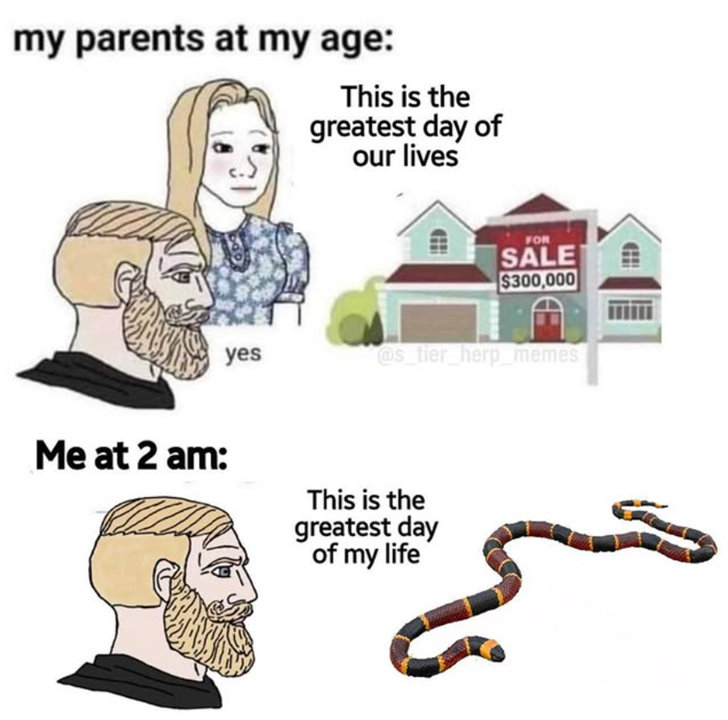 my parents at my age: This is the greatest day of our lives FOR SALE $300,000 yes @s_tier_herp_memes Me at 2 am: This is the greatest day of my life