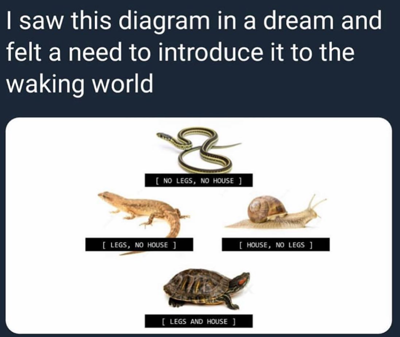 I saw this diagram in a dream and felt a need to introduce it to the waking world [NO LEGS, NO HOUSE ] [LEGS, NO HOUSE ] [HOUSE, NO LEGS ] [LEGS AND HOUSE ]