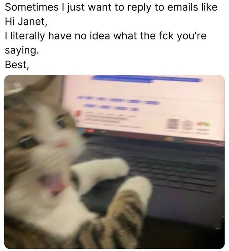 Sometimes I just want to reply to emails like Hi Janet, I literally have no idea what the fck you're saying. Best,