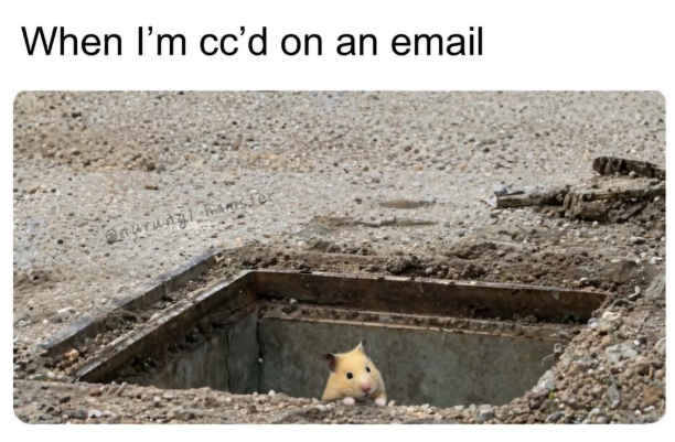 When I'm cc'd on an email @nurungi hamster