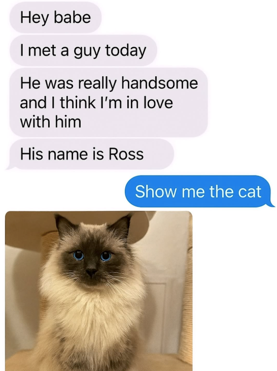 Hey babe I met a guy today He was really handsome and I think I'm in love with him His name is Ross Show me the cat