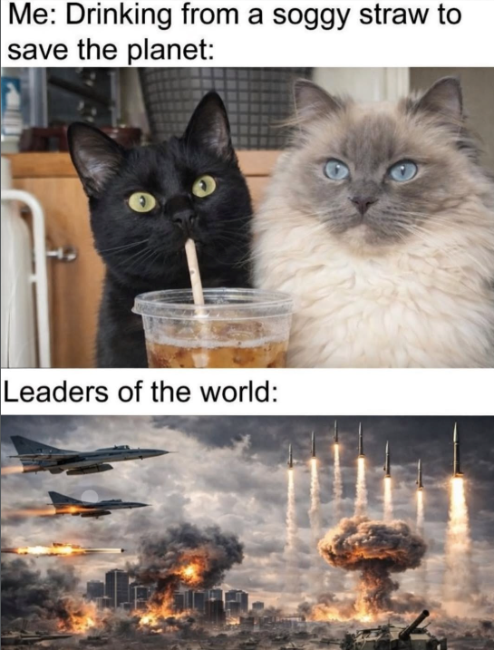 Me: Drinking from a soggy straw to save the planet: Leaders of the world: