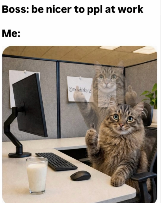 Boss: be nicer to ppl at work Me: @mr.whiskerz