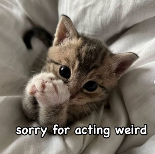 sorry for acting weird