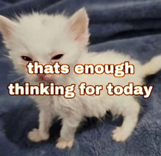 thats enough thinking for today