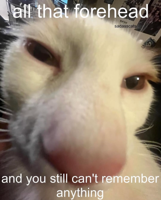 all that forehead sadasscats and you still can't remember anything