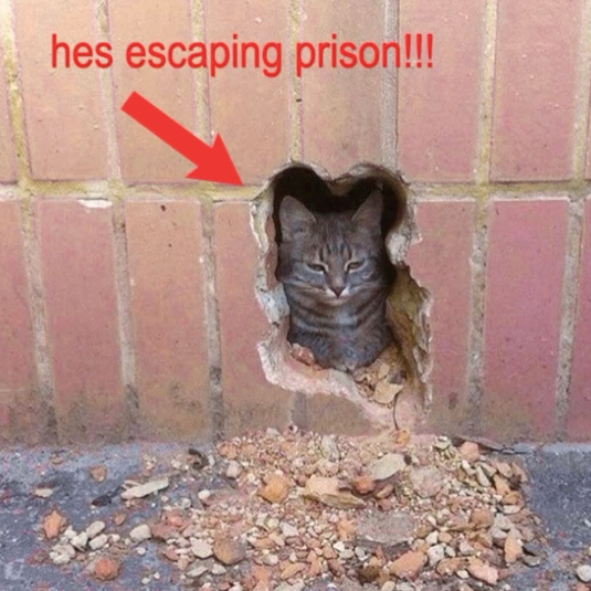 hes escaping prison!!!