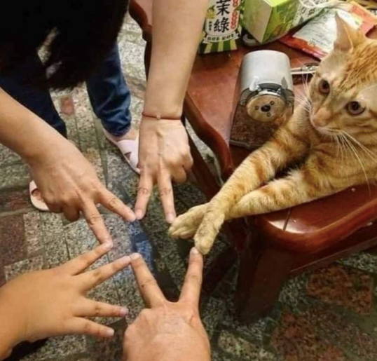 業 Mi綠