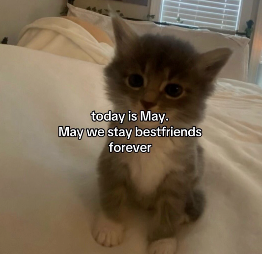 today is May. May we stay bestfriends forever