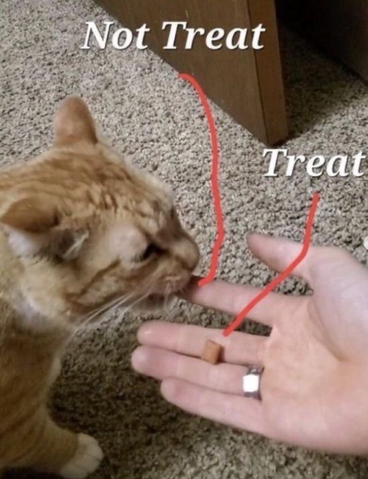 Not Treat Treat