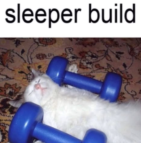 sleeper build