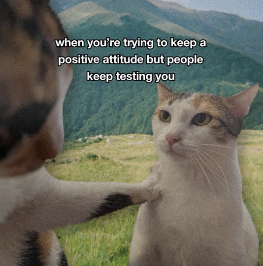 when you're trying to keep a positive attitude but people keep testing you