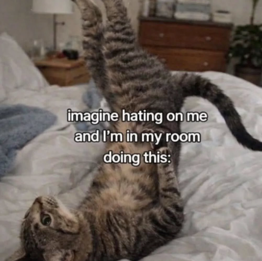 imagine hating on me and I'm in my room doing this: