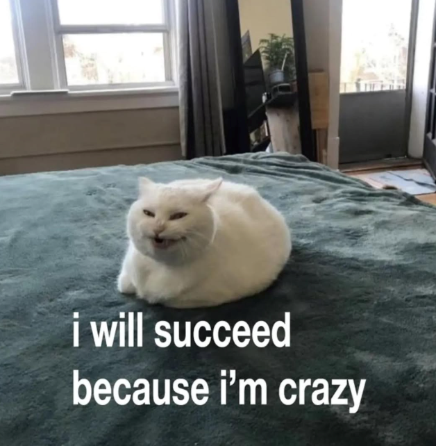 i will succeed because i'm crazy