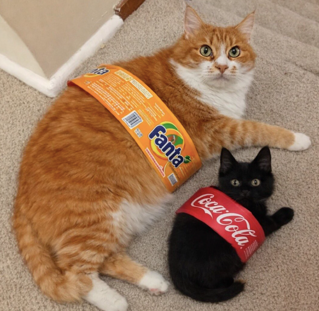 Fanta Coca-Cola