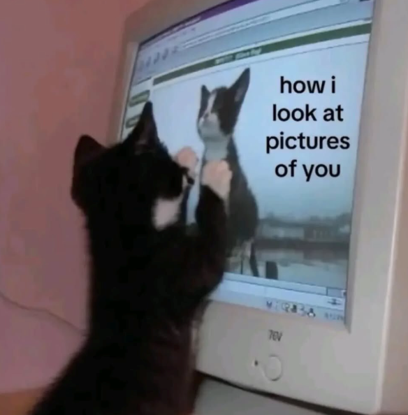how i look at pictures of you TEV