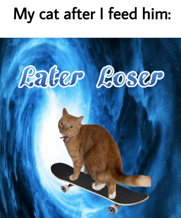 My cat after I feed him: Pater Loser