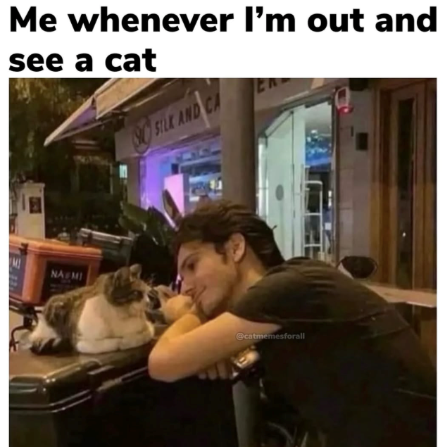 Me whenever I'm out and see a cat SILK AND NA MI @catmemesforall