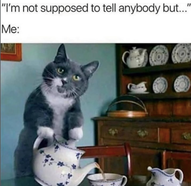 "I'm not supposed to tell anybody but..." Me: