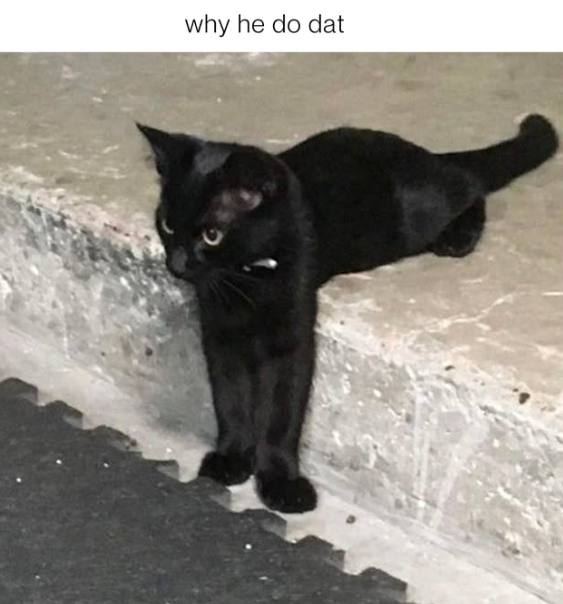 9 why he do dat