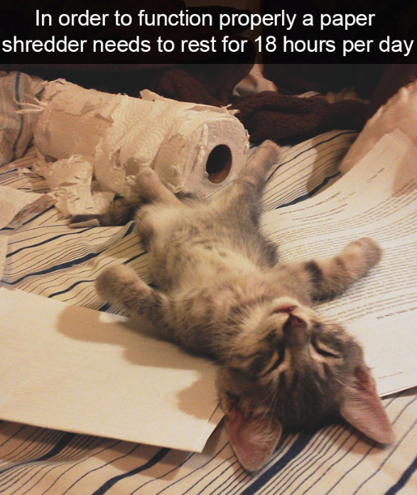In order to function properly a paper shredder needs to rest for 18 hours per day