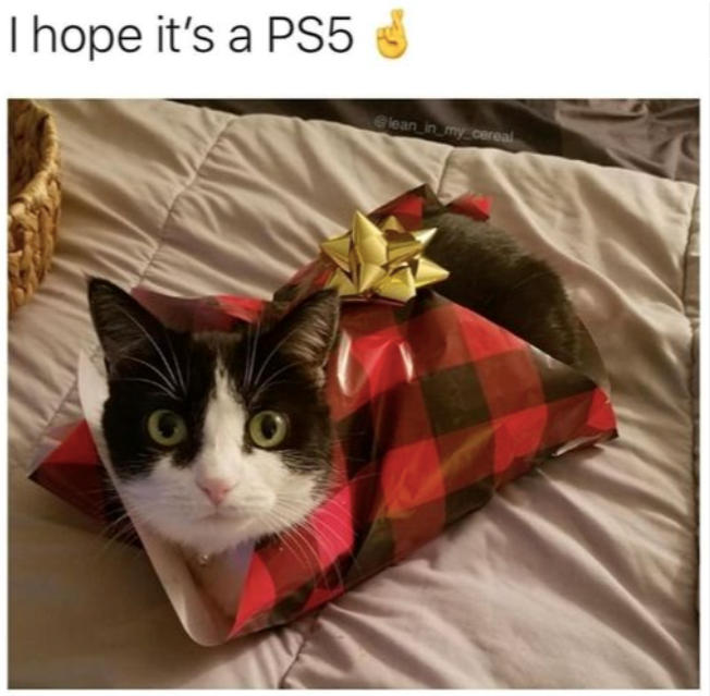 I hope it's a PS5 @lean_in_my_cereal