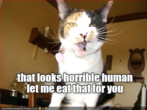 Cheezburger Image 10631758336