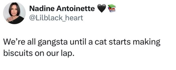 Nadine Antoinette @Lilblack_heart We're all gangsta until a cat starts making biscuits on our lap.