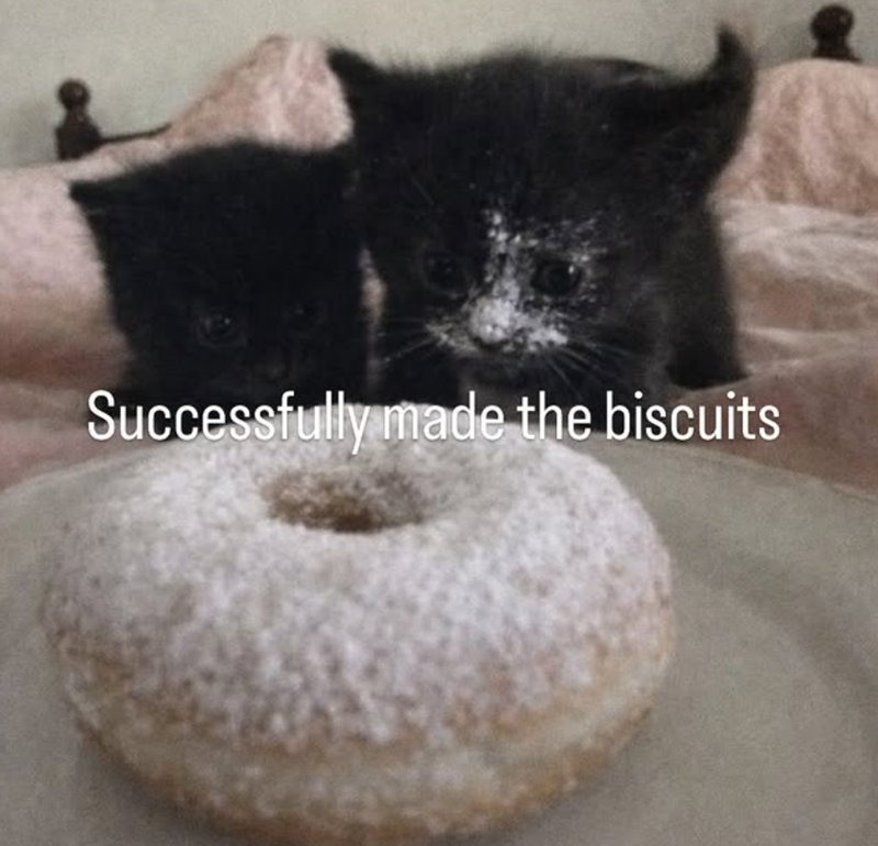 Successfully made the biscuits