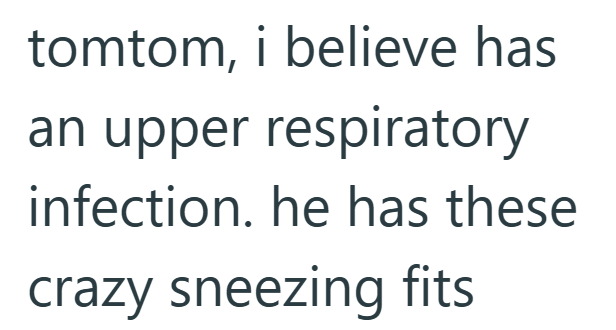 tomtom, i believe has an upper respiratory infection. he has these crazy sneezing fits