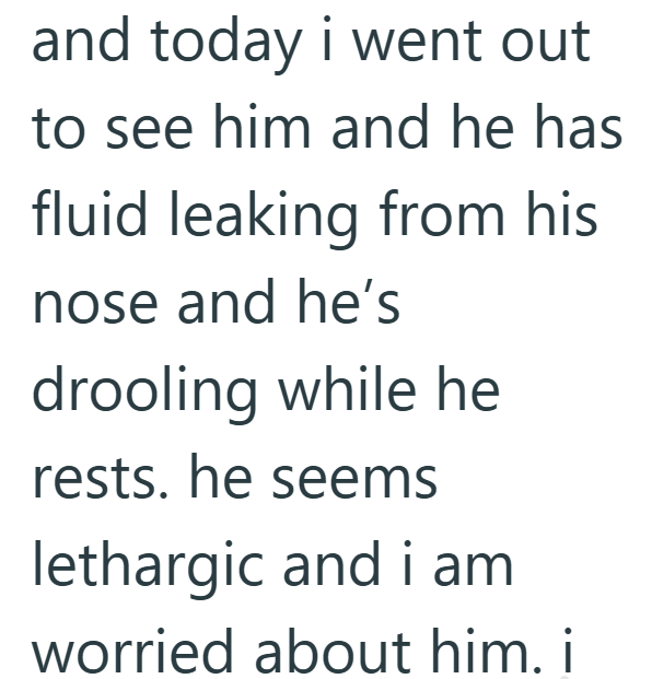 and today i went out to see him and he has fluid leaking from his nose and he's drooling while he rests. he seems lethargic and i am worried about him. i