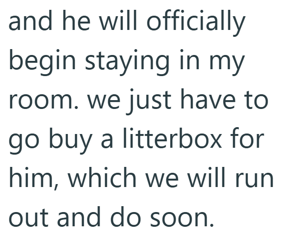 and he will officially begin staying in my room. we just have to go buy a litterbox for him, which we will run out and do soon.