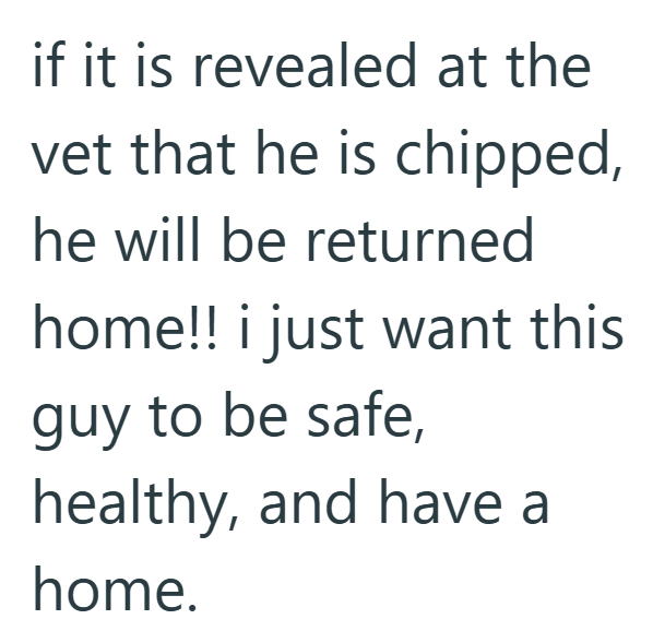 if it is revealed at the vet that he is chipped, he will be returned home!! i just want this guy to be safe, healthy, and have a home.