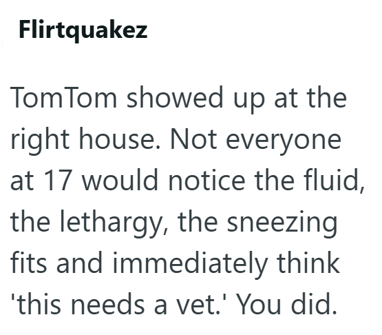 Flirtquakez TomTom showed up at the right house. Not everyone at 17 would notice the fluid, the lethargy, the sneezing fits and immediately think 'this needs a vet.' You did.