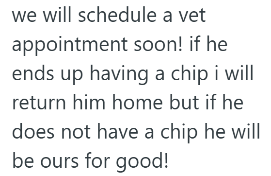 we will schedule a vet appointment soon! if he ends up having a chip i will return him home but if he does not have a chip he will be ours for good!