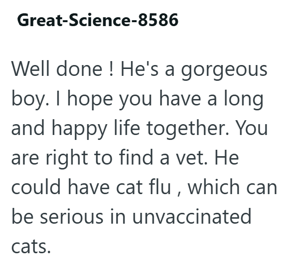 Great-Science-8586 Well done! He's a gorgeous boy. I hope you have a long and happy life together. You are right to find a vet. He could have cat flu, which can be serious in unvaccinated cats.