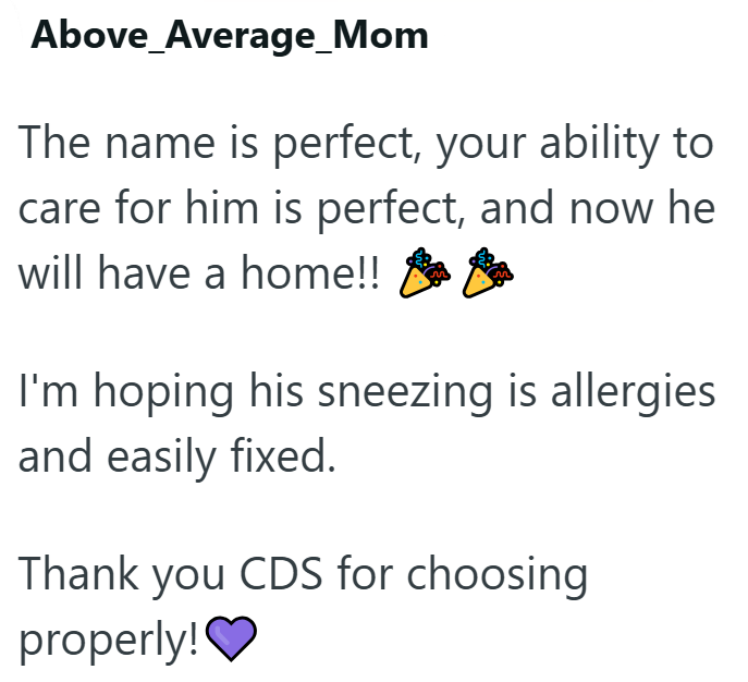 Above Average_Mom The name is perfect, your ability to care for him is perfect, and now he will have a home!! I'm hoping his sneezing is allergies and easily fixed. Thank you CDS for choosing properly!