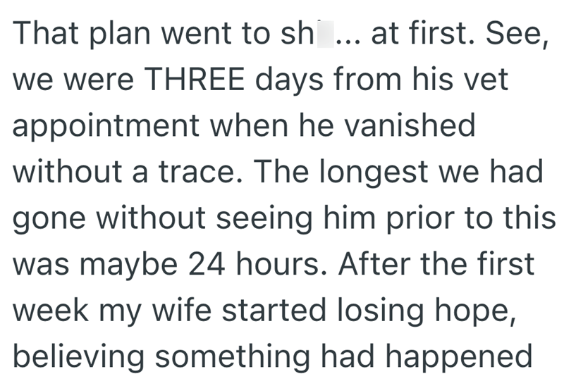 That plan went to sh... at first. See, we were THREE days from his vet appointment when he vanished without a trace. The longest we had gone without seeing him prior to this was maybe 24 hours. After the first week my wife started losing hope, believing something had happened