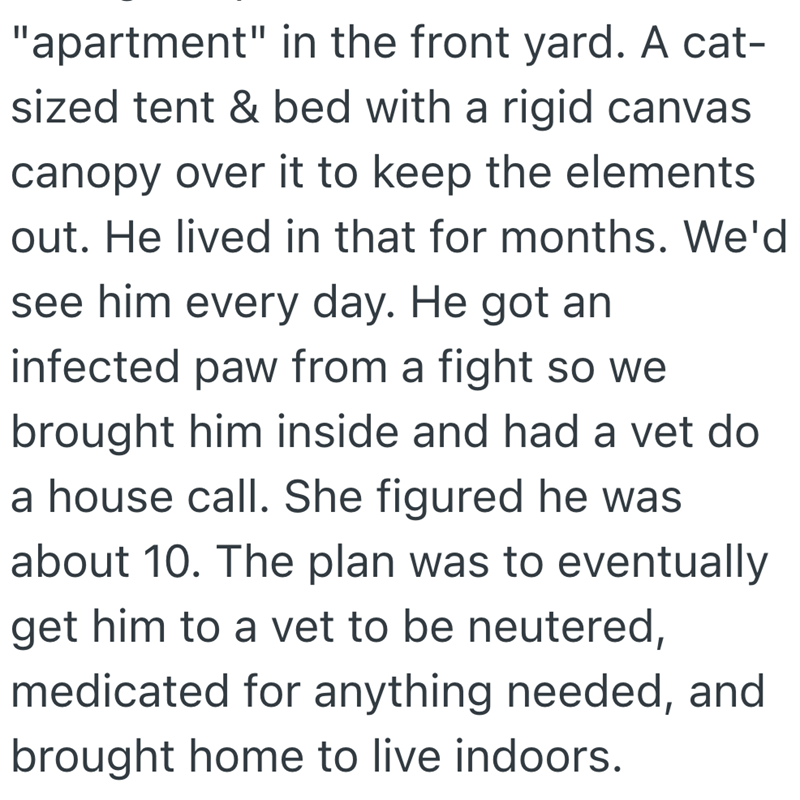 "apartment" in the front yard. A cat- sized tent & bed with a rigid canvas canopy over it to keep the elements out. He lived in that for months. We'd see him every day. He got an infected paw from a fight so we brought him inside and had a vet do a house call. She figured he was about 10. The plan was to eventually get him to a vet to be neutered, medicated for anything needed, and brought home to live indoors.