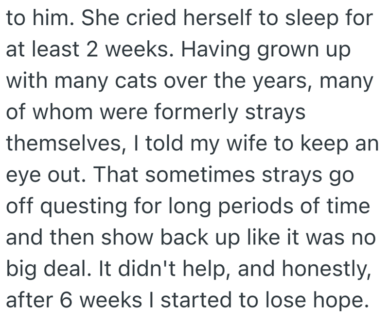 to him. She cried herself to sleep for at least 2 weeks. Having grown up with many cats over the years, many of whom were formerly strays themselves, I told my wife to keep an eye out. That sometimes strays go off questing for long periods of time and then show back up like it was no big deal. It didn't help, and honestly, after 6 weeks I started to lose hope.