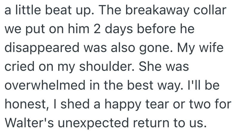 a little beat up. The breakaway collar we put on him 2 days before he disappeared was also gone. My wife cried on my shoulder. She was overwhelmed in the best way. I'll be honest, I shed a happy tear or two for Walter's unexpected return to us.
