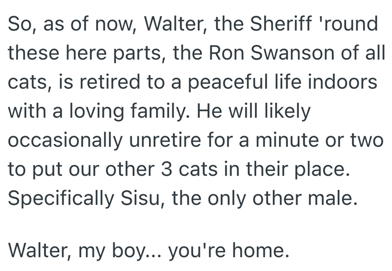 So, as of now, Walter, the Sheriff 'round these here parts, the Ron Swanson of all cats, is retired to a peaceful life indoors with a loving family. He will likely occasionally unretire for a minute or two to put our other 3 cats in their place. Specifically Sisu, the only other male. Walter, my boy... you're home.