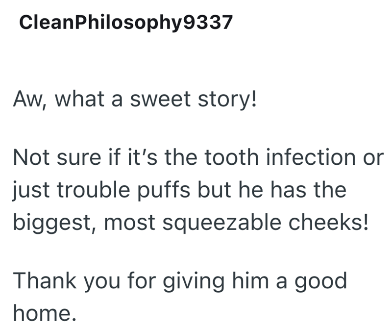 CleanPhilosophy9337 Aw, what a sweet story! Not sure if it's the tooth infection or just trouble puffs but he has the biggest, most squeezable cheeks! Thank you for giving him a good home.