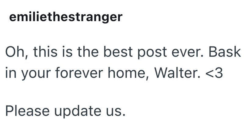 emiliethestranger Oh, this is the best post ever. Bask in your forever home, Walter. <3 Please update us.
