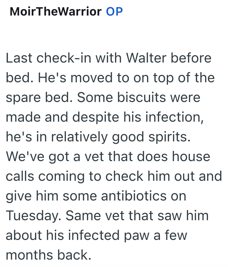 MoirTheWarrior OP Last check-in with Walter before bed. He's moved to on top of the spare bed. Some biscuits were made and despite his infection, he's in relatively good spirits. We've got a vet that does house calls coming to check him out and give him some antibiotics on Tuesday. Same vet that saw him about his infected paw a few months back.